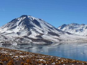c014-1.jpg